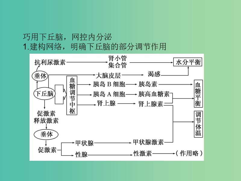 高中生物 专题培优（三）课件 新人教版必修3.ppt_第2页