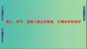 高中地理 第4章 生態(tài)環(huán)境保護(hù) 第3節(jié)、第4節(jié) 濕地干涸及其恢復(fù)、生物多樣性保護(hù)課件 新人教版選修6.ppt