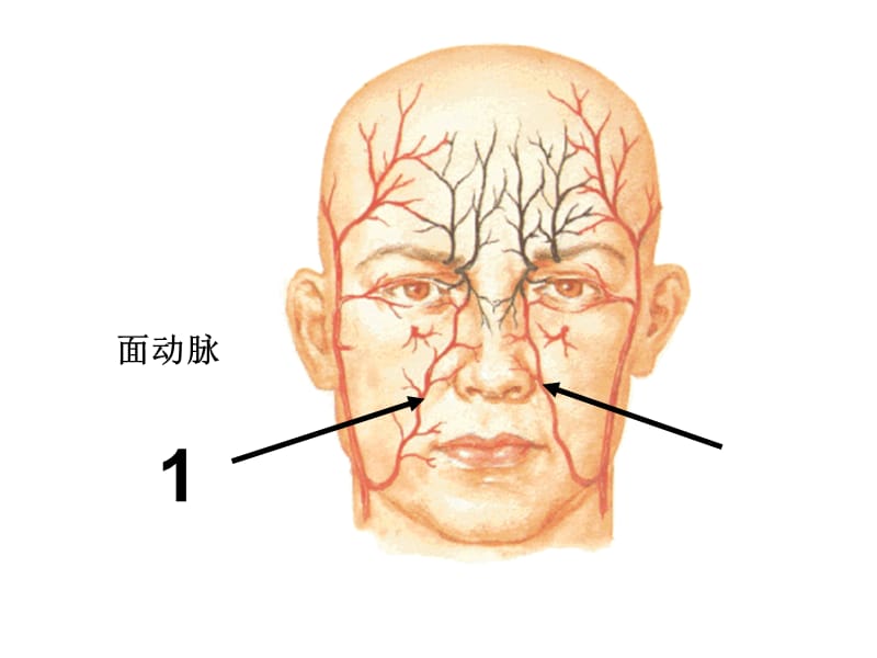 局解实验考核图片提纲(100题).ppt_第1页