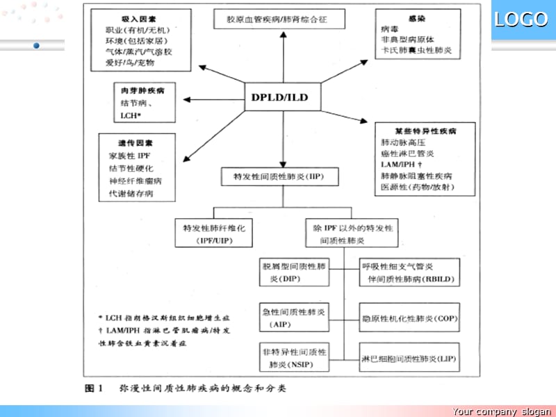 弥漫性间质性肺疾病的诊断思路.ppt_第3页