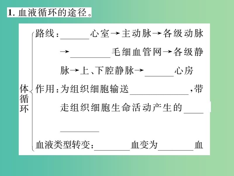 七年级生物下册 第四章 第三节 输送血液的泵──心脏（第2课时 血液循环的途径）课件 新人教版.ppt_第3页