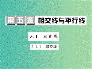 七年級(jí)數(shù)學(xué)下冊(cè) 第五章 相交線與平行線 5.1.1 相交線課件 新人教版.ppt