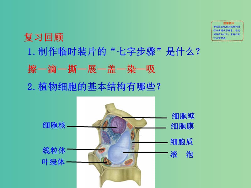 七年级生物上册 2.1.3 动物细胞课件教学课件 新人教版.ppt_第2页