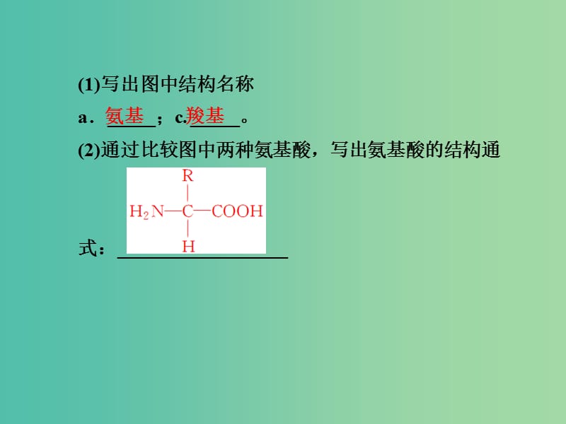 高考生物第一轮复习 第一单元 第3讲 生命活动的主要承担者-蛋白质课件 新人教版必修1.ppt_第3页