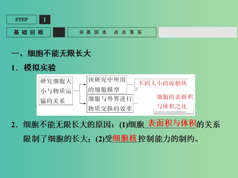 高考生物一轮复习 第4单元 基础课时案11 细胞的有丝分裂及相关实验课件 新人教版必修1.ppt_第3页