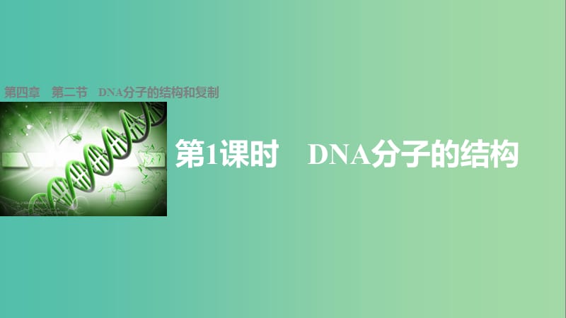 高中生物 4.2 DNA分子的结构（第1课时）课件 苏教版必修2.ppt_第1页
