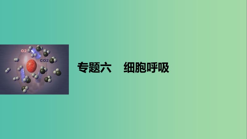 高考生物二轮复习 专题六 细胞呼吸课件.ppt_第1页