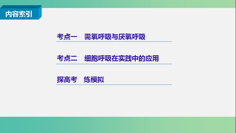 高考生物二轮复习 专题六 细胞呼吸课件.ppt_第2页