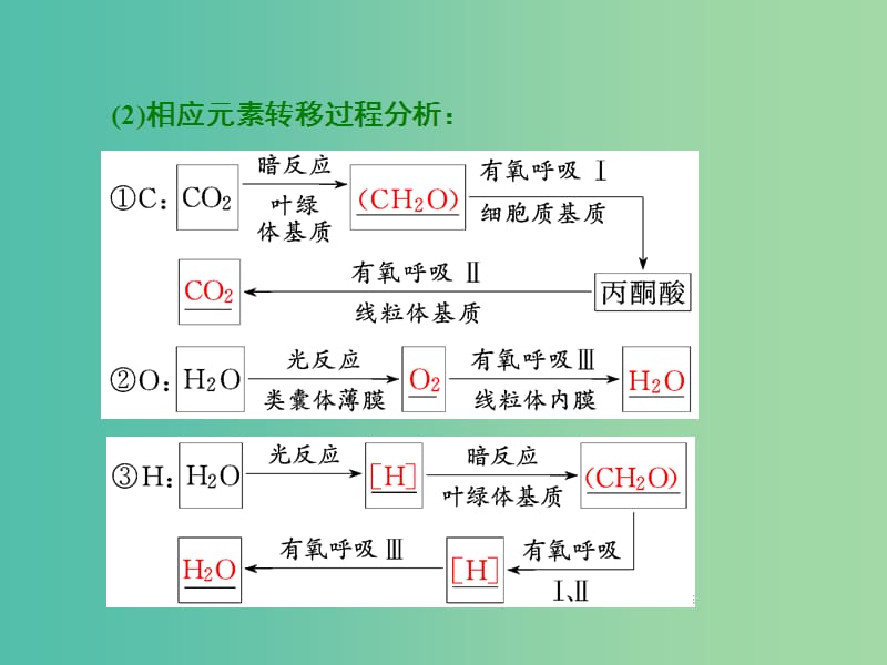 高考生物二轮复习 第一部分 专题一 细胞系统 第3讲 第2课时 光合作用与细胞呼吸(难点增分课)课件.ppt_第3页