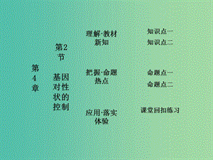 高中生物 第4章 第2節(jié) 基因?qū)π誀畹目刂普n件 新人教版必修2.ppt