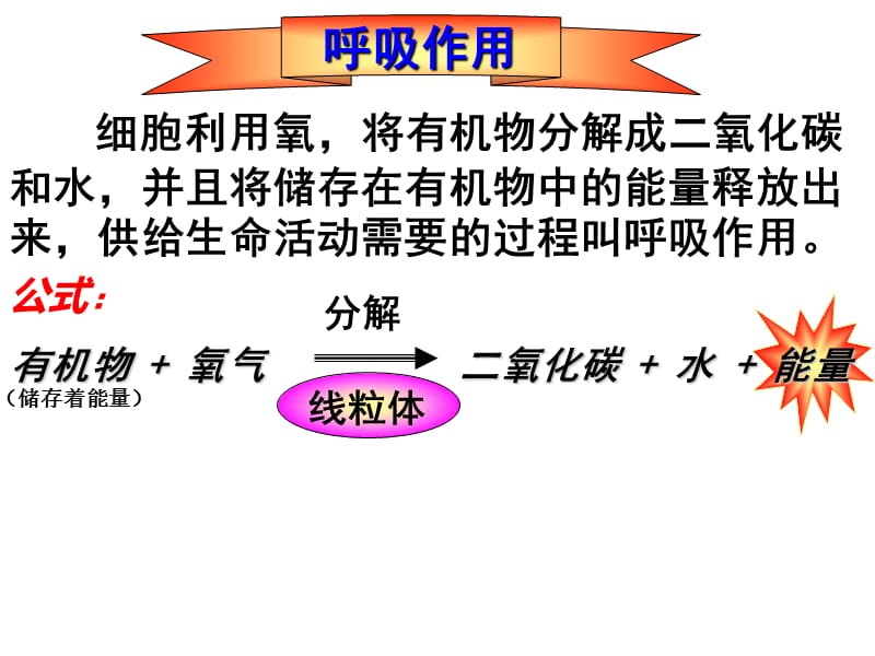 呼吸作用消耗氧气释放二氧化碳.ppt_第2页