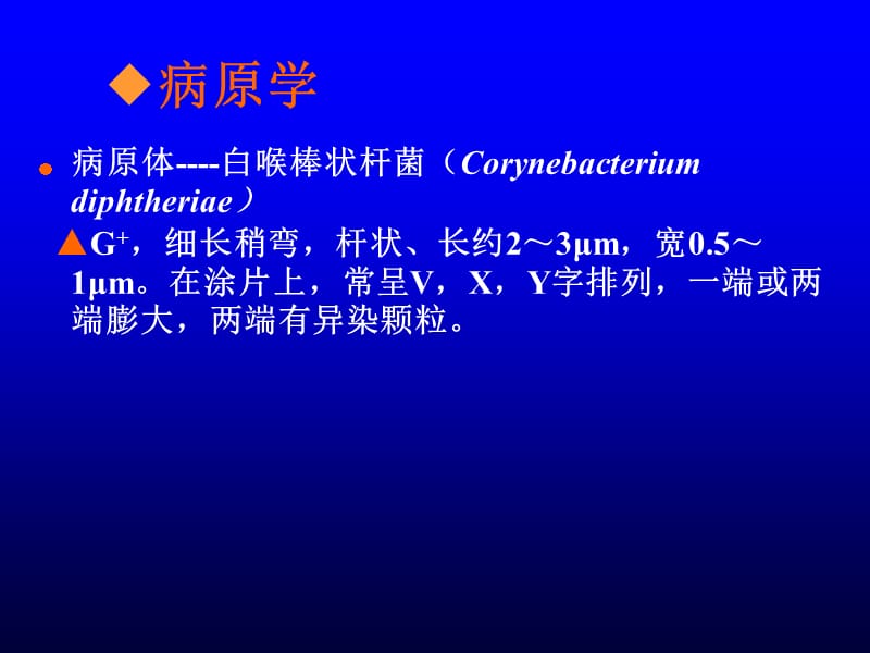 白喉患者的护理分析.ppt_第3页