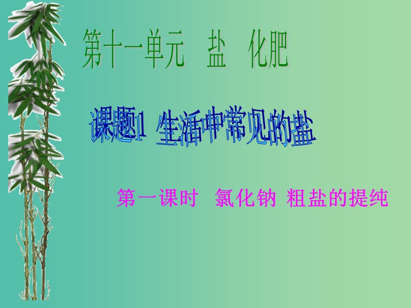 九年级化学下册 第十一单元 课题1 生活中常见的盐课件1 新人教版.ppt_第1页