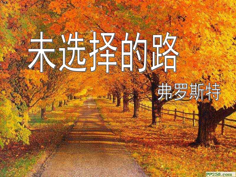 七年级语文下册《第一单元 第4课 诗两首》未选择的路课件 新人教版.ppt_第2页