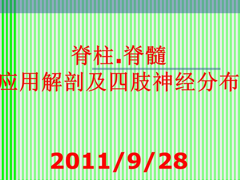 脊柱解剖与神经分布.ppt_第1页