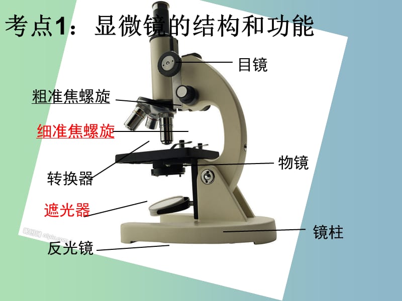 七年级生物上册 第3课时 显微镜的构造和使用复习课件 （新版）新人教版.ppt_第3页