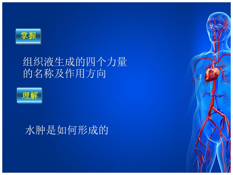 组织液的生成与回流.ppt_第2页