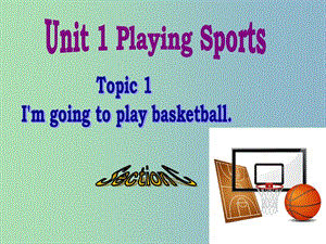 八年級(jí)英語上冊(cè) Unit 1 Playing Sports Topic 1 Section C課件 （新版）仁愛版.ppt