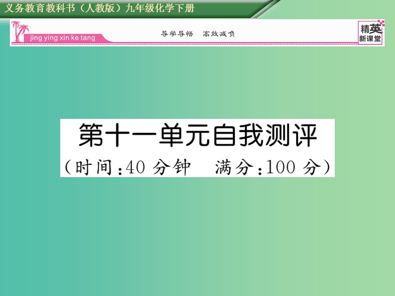 九年级化学下册 第11单元 盐 化肥自我测评课件 （新版）新人教版.ppt_第1页