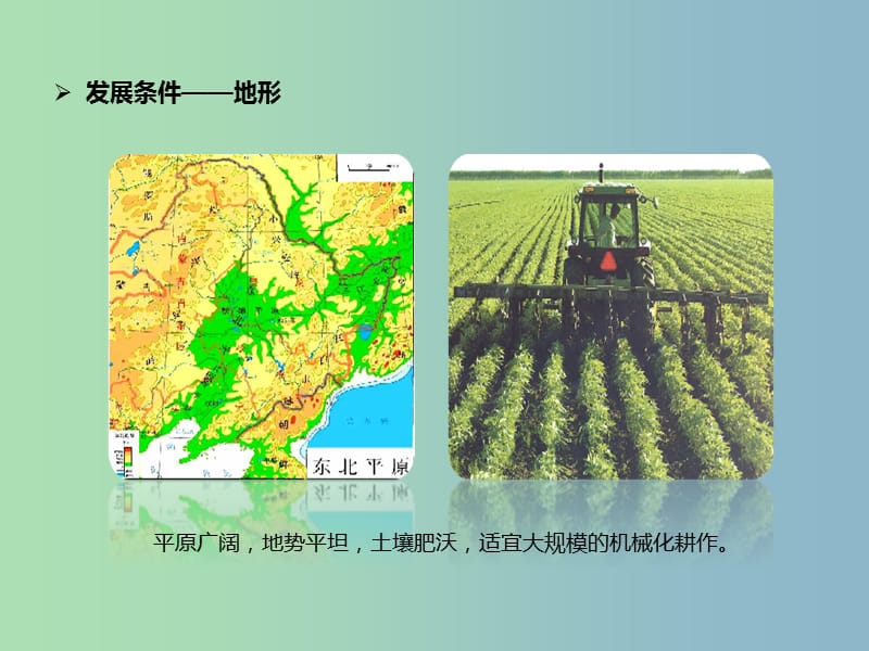 八年级地理下册6.2“白山黑水”--东北三诗北地区的农业生产及农业问题课件新版新人教版.ppt_第3页