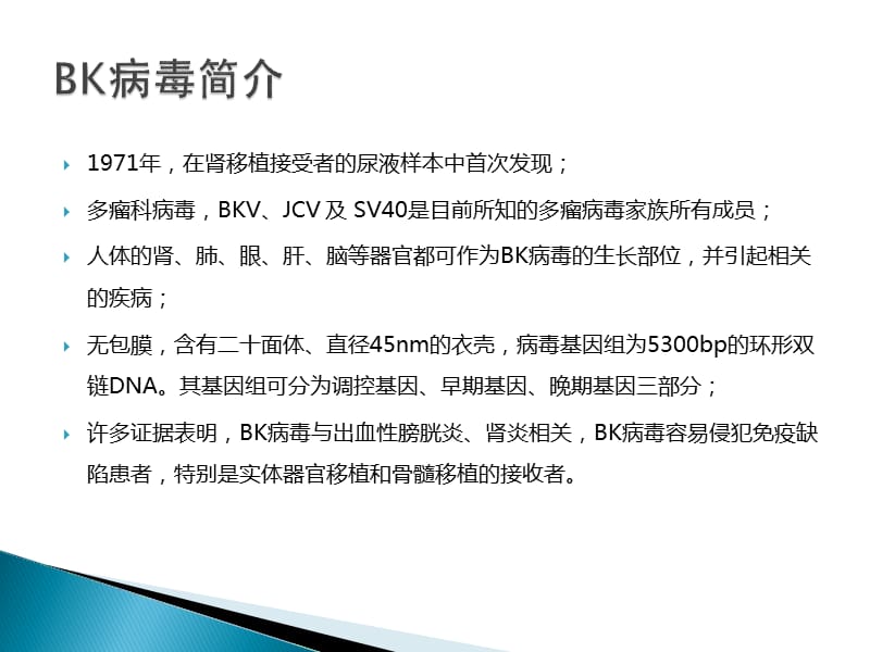 BKV病毒的检测.ppt_第2页