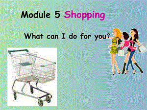 七年級英語下冊 Moudle 5 Unit 1 What can I do for you課件 （新版）外研版.ppt