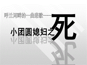 呼蘭河傳賞析評鑒.ppt