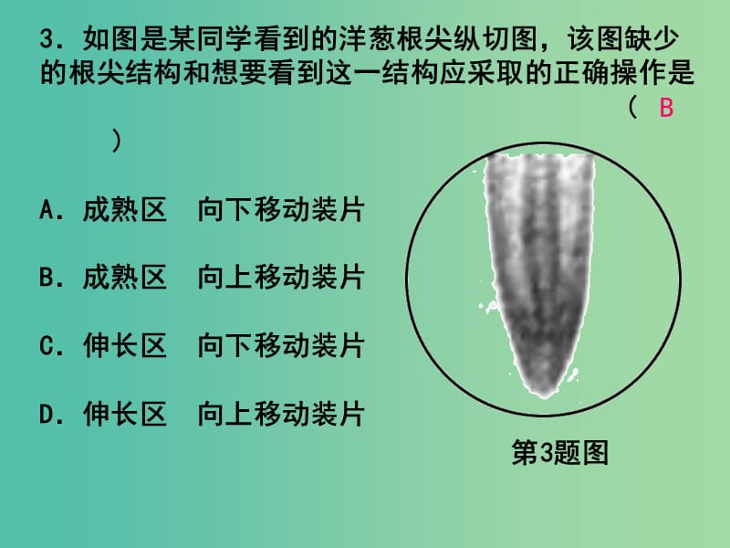 中考科学总复习 阶段检测2 生命科学综合练习（二）课件.ppt_第3页