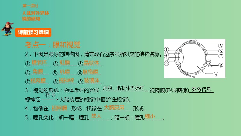 中考生物 第四单元 第十六章 人体生命活动的调节复习课件 新人教版.ppt_第3页