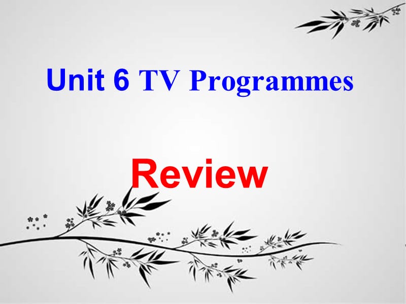 九年级英语上册 Unit 6 TV programmes复习课件 （新版）牛津版.ppt_第1页