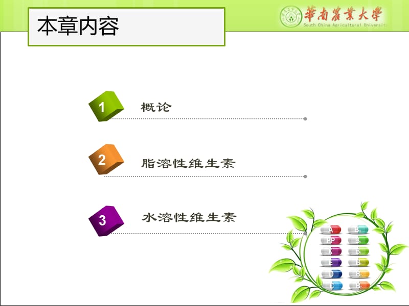 食品营养学第四章-维生素.ppt_第3页