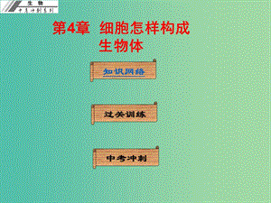 中考生物沖刺復習 基礎梳理 第4章 細胞怎樣構成生物體課件 新人教版.ppt