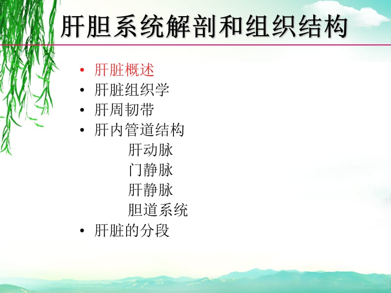 肝胆系统解剖和组织结构.ppt_第2页