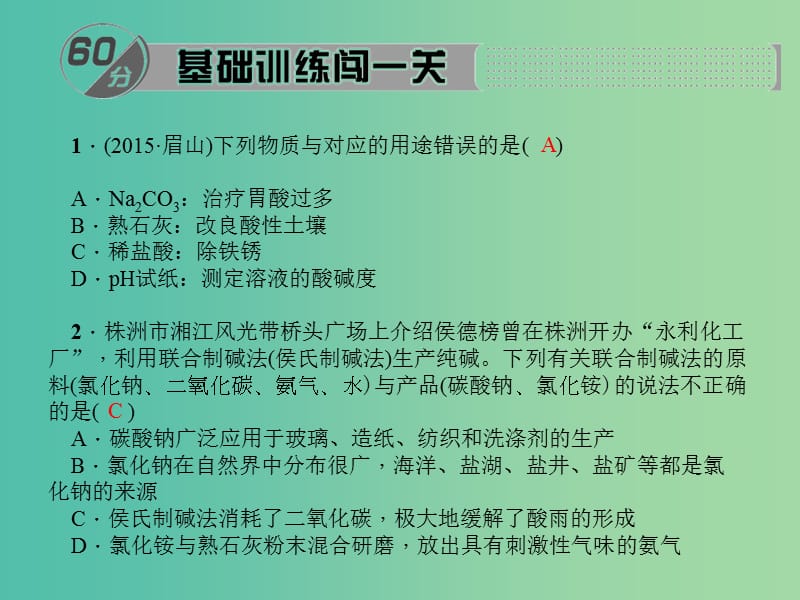 九年级化学下册 第11单元 盐 化肥复习训练课件 新人教版.ppt_第2页