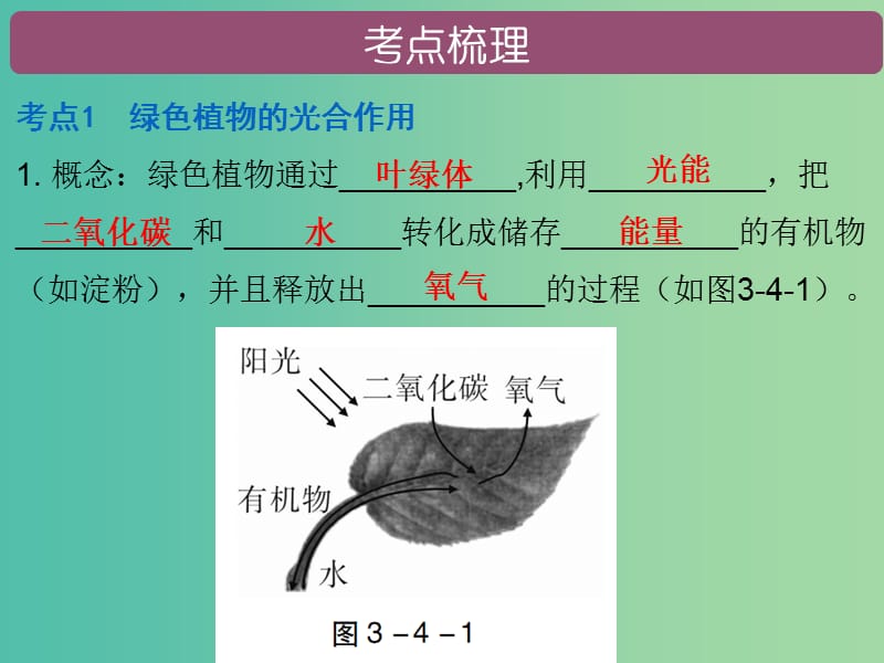 中考生物 第三单元 第四章 绿色植物是生物圈中有机物的制造者复习课件.ppt_第2页