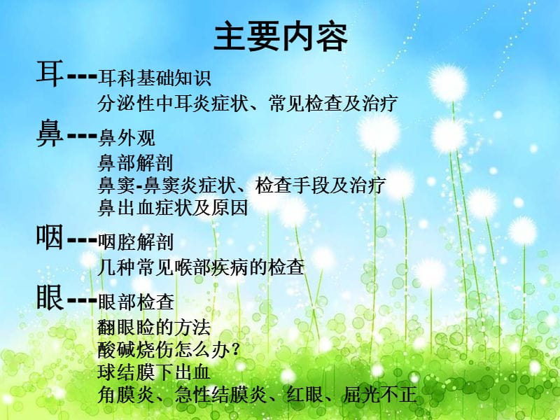 耳鼻喉眼常见病症及治疗.ppt_第2页