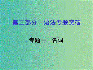 中考英語 第二部分 語法專題研究 專題一 名詞課件 人教新目標版.ppt