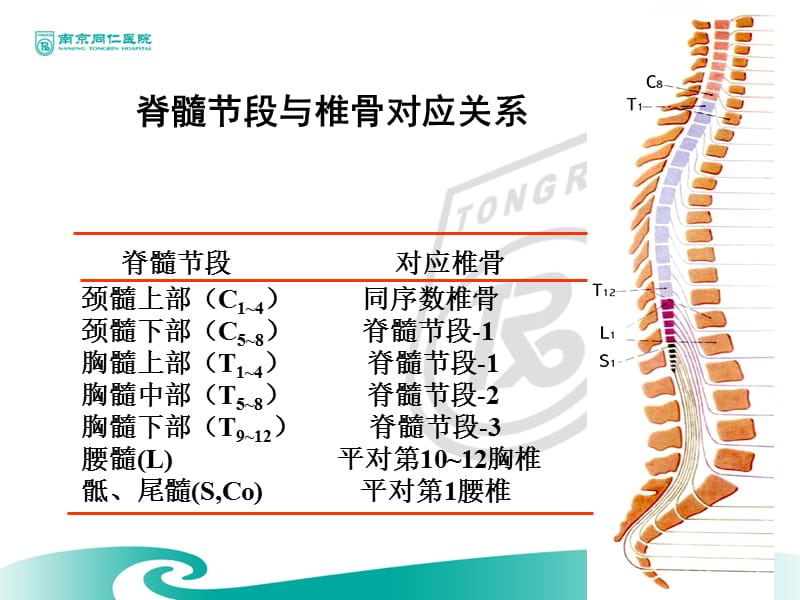 脊髓损伤神经学分类国际标准.ppt_第3页