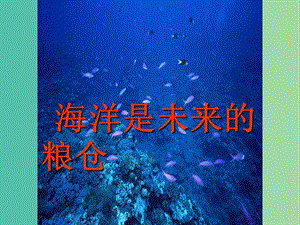 八年级语文上册 第19课《海洋是未来的粮仓》课件 语文版.ppt