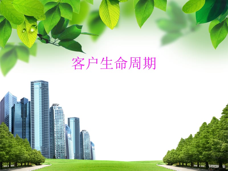 《客户生命周期》PPT课件.ppt_第1页