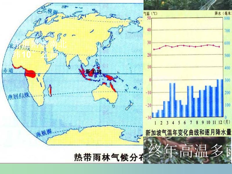 七年级地理上册 4.4 世界主要气候类型课件 湘教版.ppt_第3页