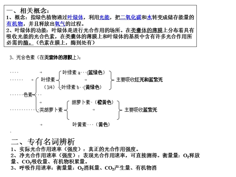 高中生物光合作用.ppt_第2页