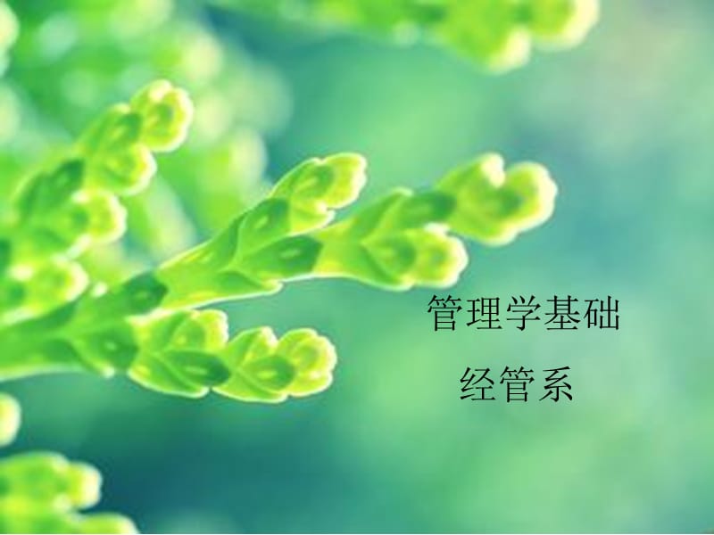 《管理学说课》PPT课件.ppt_第1页