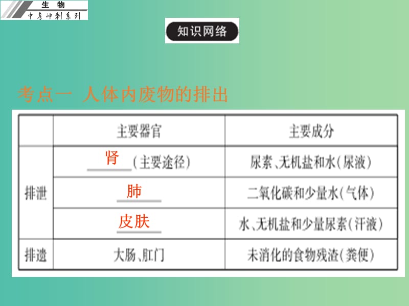 中考生物冲刺复习 基础梳理 第14章 人体内废物的排出课件 新人教版.ppt_第3页