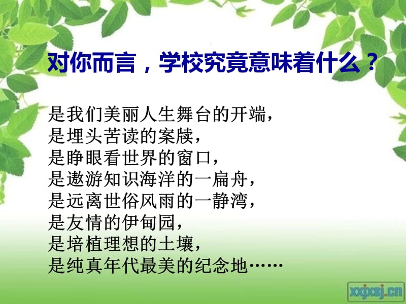 绿色校园主题班会-PPT(精).ppt_第3页