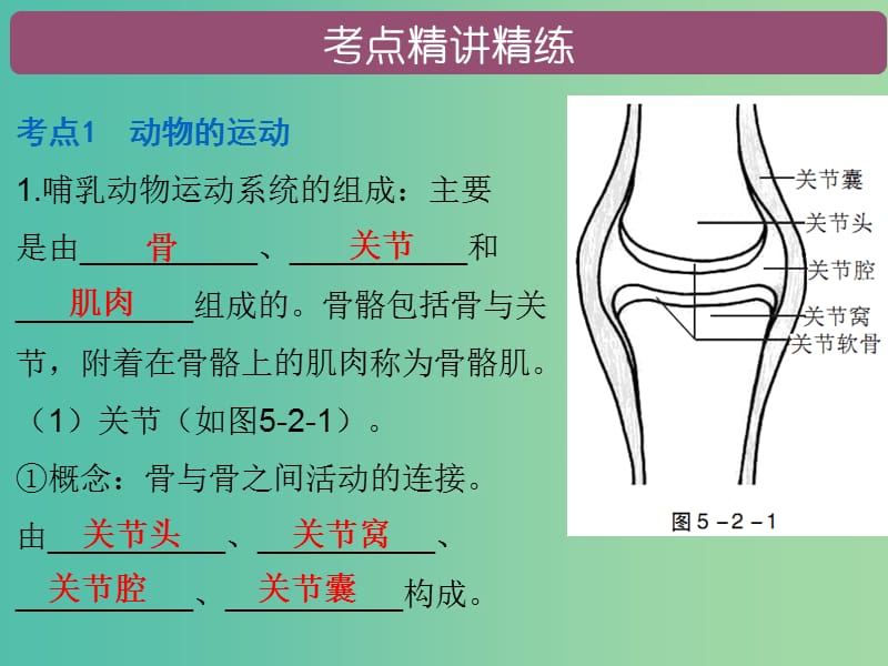 中考生物总复习 第五单元 第二、三章课件.ppt_第2页