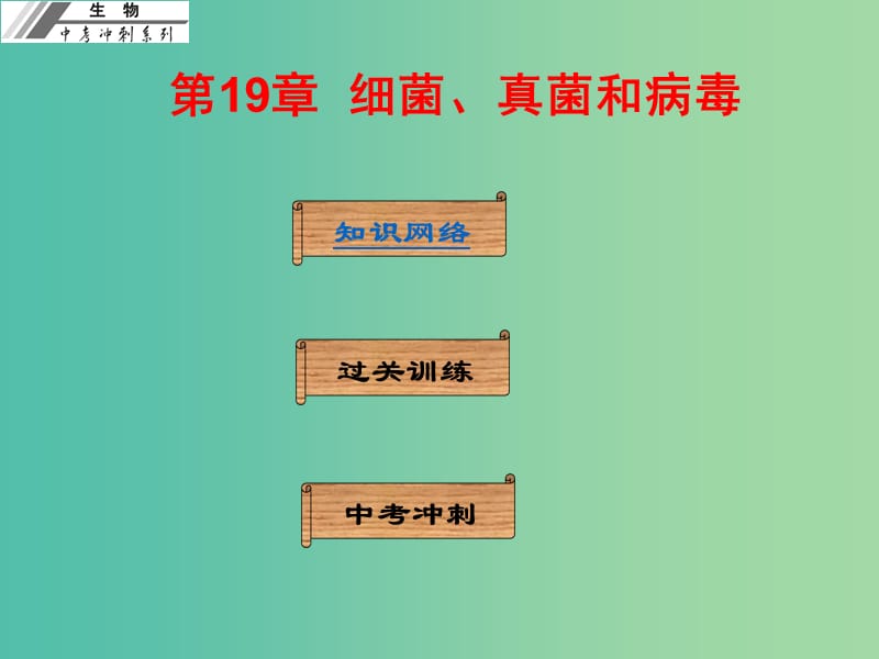 中考生物冲刺复习 基础梳理 第19章 细菌、真菌和病毒课件 新人教版.ppt_第1页