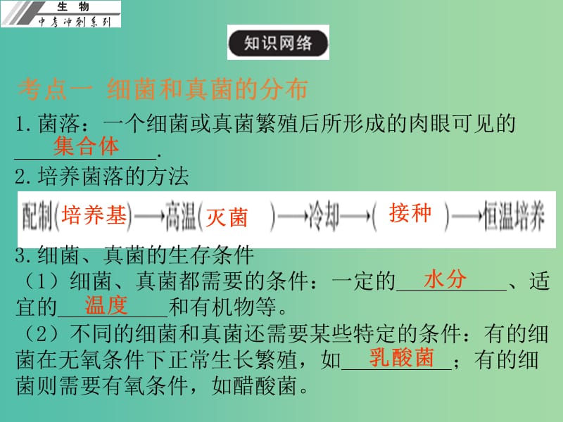 中考生物冲刺复习 基础梳理 第19章 细菌、真菌和病毒课件 新人教版.ppt_第3页