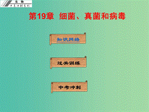 中考生物沖刺復習 基礎(chǔ)梳理 第19章 細菌、真菌和病毒課件 新人教版.ppt