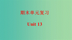 九年級英語全冊 期末單元復(fù)習(xí) Unit 13 We’re trying to save the earth課件 （新版）人教新目標(biāo)版.ppt